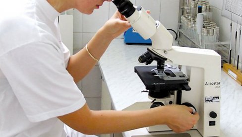 NEOBIČAN FOSIL, ALI „ČEST GOST“ ĆILIBARA: Šta je otkriveno u kolekciji slavnog Getea (FOTO)