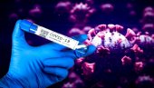 POJAVIO SE STELT OMIKRON: Oblik novog soja korona virusa nevidljiv za PCR test?