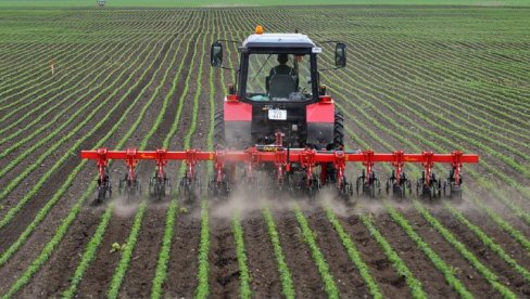 МИНИСТАРСТВО ПОЉОПРИВРЕДЕ ДОНЕЛО ОДЛУКУ: Употреба пестицида на бази хлорпирифоса дозвољена само за шећерну репу у ограниченом периоду