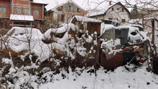 ПРВЕ КОМШИЈЕ ПАЦОВИ И ЗМИЈЕ: Људи из нишке Улице Жарка Ђурића узалуд негодују због приватне депоније