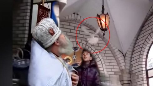 KAŽU DA SE DESILO ČUDO! Vidite šta je uradio beli golub na Bogojavljanje usred osveštavanja vode (VIDEO) KAŽU DA SE DESILO ČUDO! Vidite šta je uradio beli golub na Bogojavljanje usred osveštavanja vode (VIDEO)