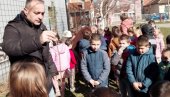AKCIJA „ZASADI DRVO” U PARAĆINU: Najmlađi osnovci ukrasili belim borom školska dvorišta (foto)