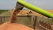 SIGURNO SNABDEVANJE SRBIJE: Sukob Rusije i Ukrajine, najvećih izvoznika pšenice i kukuruza, podigao cene, građani ne treba da prave zalihe
