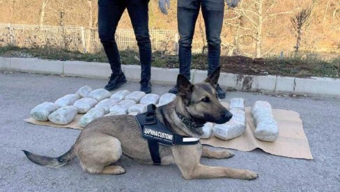 ДРОГУ ИЗ ШПАНИЈЕ И ХОЛАНДИЈЕ ПРЕБАЦИВАЛИ У СКАНДИНАВИЈУ: Акција више европских земаља и Србије ДРОГУ ИЗ ШПАНИЈЕ И ХОЛАНДИЈЕ ПРЕБАЦИВАЛИ У СКАНДИНАВИЈУ: Акција више европских земаља и Србије