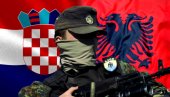 HRVATSKI I ALBANSKI PSI RATA U UKRAJINI: Kremlj upozorava na plaćenike sa Balkana, među njima i džihadisti