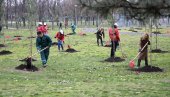 MINISTARSTVO DEMANTUJE NAVODE O MASOVNOJ SEČI STABALA: Park Ušće dobija novo drveće, uz maksimalno očuvanje postojećih stabala