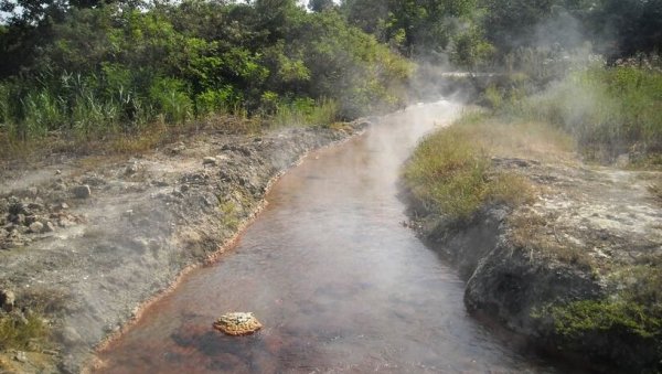 ДЕТАЉИ ТРАГЕДИЈЕ КОД БОГАТИЋА: Стравична смрт у каналу вреле воде, тело у фази распадања, уз много муке, извукли ватрогасци