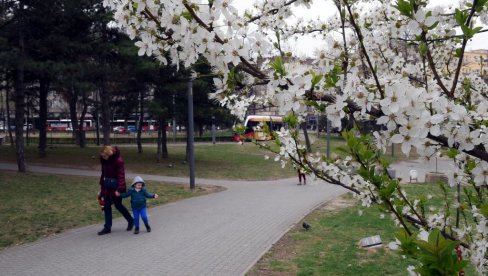 VREMENSKA PROGNOZA ZA UTORAK, 26. APRIL: Sunčano jutro - kraj dana sa pljuskovima i grmljavinom VREMENSKA PROGNOZA ZA UTORAK, 26. APRIL: Sunčano jutro - kraj dana sa pljuskovima i grmljavinom
