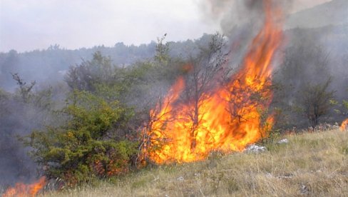 UŽAS KOD BOSILEGRADA: Muškarac palio strnjiku, meštani zatekli telo na njivi