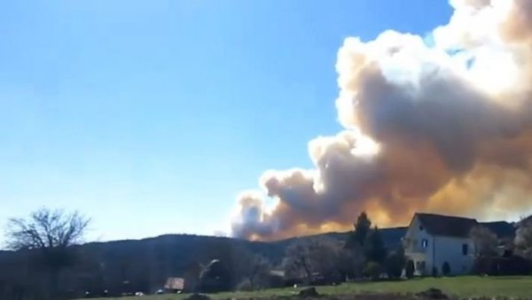 ПОЖАР КОД КРАЉЕВА: Гори шума, јак ветар разбуктава пламен (ВИДЕО)