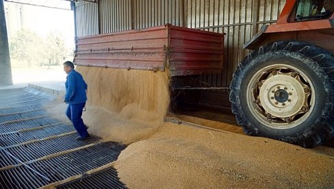 PRODUBLJUJE SE KRIZA SA HRANOM, NAJTEŽE SIROMAŠNIMA: Kako na globalno tržište utiče odluka Rusije da rekordno podigne izvozne takse žitarica PRODUBLJUJE SE KRIZA SA HRANOM, NAJTEŽE SIROMAŠNIMA: Kako na globalno tržište utiče odluka Rusije da rekordno podigne izvozne takse žitarica