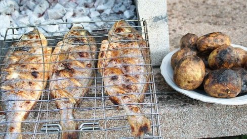 OVA RIBA JE NAJVIŠE POSKUPELA OD POČETKA GODINE: Korona poremetila ciklus proizvodnje OVA RIBA JE NAJVIŠE POSKUPELA OD POČETKA GODINE: Korona poremetila ciklus proizvodnje