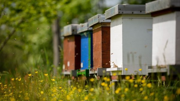 ДОДЕЛА УГОВОРА ПОКРАЈИНСКИМ ПОЉОПРИВРЕДНИЦИМА: Пчеларима 350.000 динара