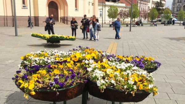 ПРОЛЕЋНИ ЦВЕТНИ ЛЕПТИРИЋИ УКРАС ЦЕНТРА: Традиционална декорација и ове године у Зрењанину (ФОТО)