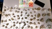 ХАПШЕЊЕ НА ЗВЕЗДАРИ: У доњем вешу осумњиченог пронађене кесице марихуане