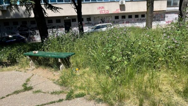 „ТРАВА ДО КОЛЕНА“: Београђани затрпали надлежне жалбама због неуређених зелених површина