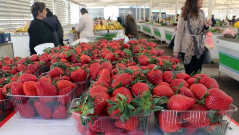 JAGODE SAMO ZA BOGATAŠE: Kilo domaćih koštaće 700 dinara JAGODE SAMO ZA BOGATAŠE: Kilo domaćih koštaće 700 dinara