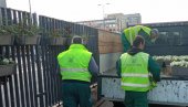 OVAKVI POSLOVI SE MORAJU IZVODITI PREMA PRAVILIMA STRUKE: JKP „Zelenilo-Beograd“ podnelo prijavu zbog nelegalne seče stabala