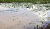 ЗА ОДВОДЊАВАЊЕ ДУГУЈЕМО МИЛИЈАРДЕ: Колико није плаћано водопривреди - нису слане ни опомене дужницима