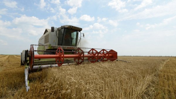НАЈНОВИЈА ОДЛУКА ВЛАДЕ СРБИЈЕ: Укида се забрана извоза пшенице и кукуруза