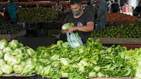 PROŠLE NEDELJE NA VELETRŽNICI: Tražene jabuke, šargarepa i salata