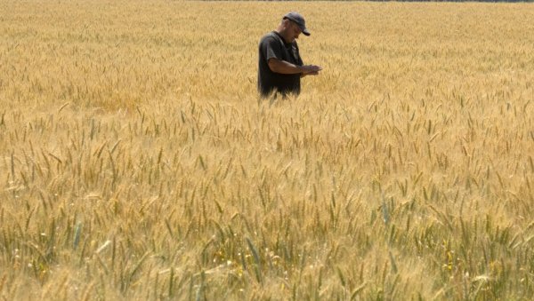 ИСТАНБУЛСКИ МЕХАНИЗАМ НУДИ РЕШЕЊЕ: Могуће отварање три коридора из лука у Одеси за жито