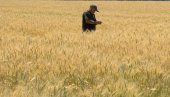 ИСТАНБУЛСКИ МЕХАНИЗАМ НУДИ РЕШЕЊЕ: Могуће отварање три коридора из лука у Одеси за жито