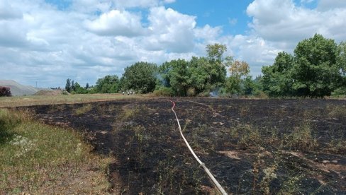 LOKALIZOVAN POŽAR U NOVOM SADU: Gorela površina od pet ari, nema povređenih (FOTO/VIDEO) LOKALIZOVAN POŽAR U NOVOM SADU: Gorela površina od pet ari, nema povređenih (FOTO/VIDEO)