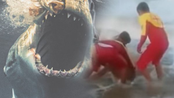 ПОГЛЕДАЈТЕ - ОВОГ ПРЕДАТОРА СЕ ПЛАШЕ И ВЕЛИКЕ БЕЛЕ АЈКУЛЕ: Нападају из дубина океана (ВИДЕО)