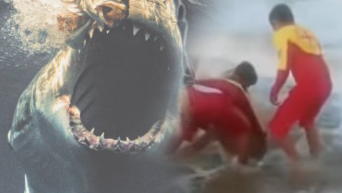 ПОГЛЕДАЈТЕ - ОВОГ ПРЕДАТОРА СЕ ПЛАШЕ И ВЕЛИКЕ БЕЛЕ АЈКУЛЕ: Нападају из дубина океана (ВИДЕО)