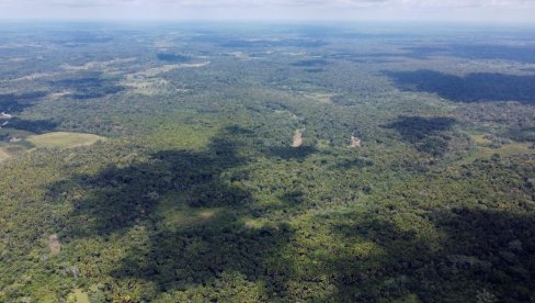 BRAZILSKI PREDSEDNIK SE POHVALIO: Krčenje šuma u ​​brazilskoj Amazoniji palo za 70 odsto u avgustu