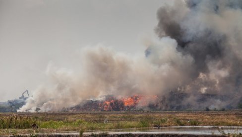 DIM SA DEPONIJE IZNAD SURDULICE SVE VEĆI: Komšije iz Vladičinog Hana spremne da pomognu