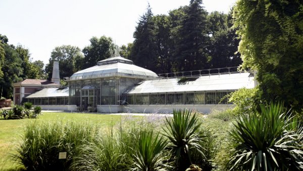 ЦАРСТВО ВОДЕНИХ ЗМАЈЕВА: Изложба у Ботаничкој башти Јевремовац