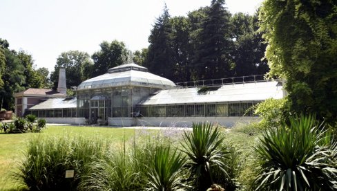 CARSTVO VODENIH ZMAJEVA: Izložba u Botaničkoj bašti Jevremovac