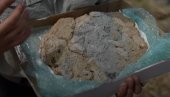 PREDATOR IZ DOBA JURE: Otkrivena riba fosil koja iskače iz stene, stara 183 miliona godina  (FOTO/VIDEO)