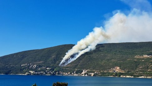 UHAPŠEN PIROMAN IZ HERCEG NOVOG: Mladić (19) podmetnuo je čak 10 požara u Crnoj Gori (VIDEO)
