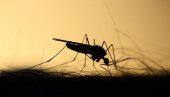 NAVALILI I KUĆNI KOMARCI: Miholjsko leto izmamilo različite insekte, među kojima i leteće krvopije
