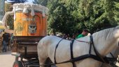 SOKAKOM POTEKLI POTOCI PIVA: Počinje tradicionalna manifestacija u Zrenjaninu (FOTO/VIDEO)