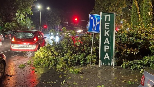 НЕВРЕМЕ НАПРАВИЛО БРДО ПРОБЛЕМА У ВОЈВОДИНИ: Сивац био без струје и воде, у Црвенки ветар чупао дрвеће