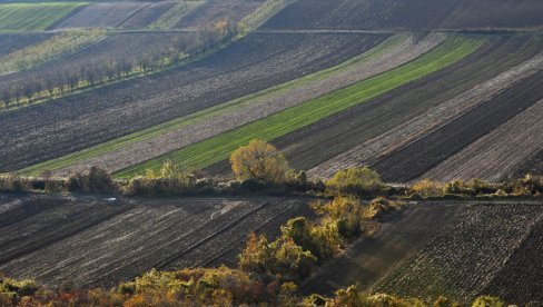 EVO KAKO DA UZMETE U ZAKUP DRŽAVNO ZEMLJIŠTE: Zahtevi se šalju do 31. oktobra