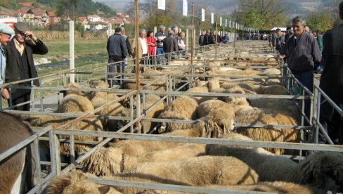 DA SE SAČUVAJU DOMAĆE RASE: Stručnjaci održali pirotskim stočarima predavanje o očuvanju autohtonih rasa domaćih životinja (FOTO) DA SE SAČUVAJU DOMAĆE RASE: Stručnjaci održali pirotskim stočarima predavanje o očuvanju autohtonih rasa domaćih životinja (FOTO)