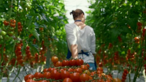 ŽENE KAO ŠEFICE NA SELU PRAVA RETKOST: Rade teške i zahtevne poslove, a tek oko 15 odsto njih dobija i zaradu za to ŽENE KAO ŠEFICE NA SELU PRAVA RETKOST: Rade teške i zahtevne poslove, a tek oko 15 odsto njih dobija i zaradu za to