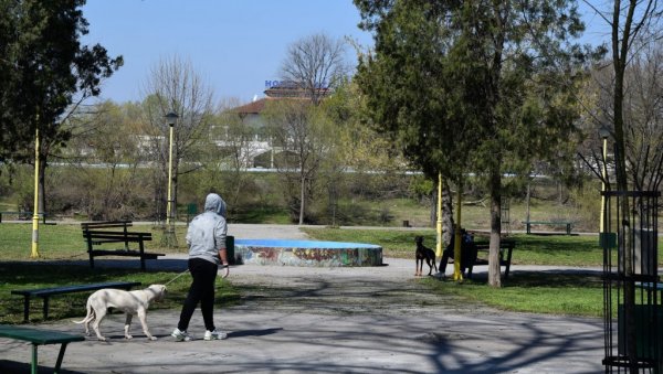 “УМЕТНОСТ РОДИТЕЉСТВА“: Програм  у Моравском парку у Ћуприји