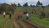 NEOBIČNA PROSIDBA NA ŠKOLI GLJIVARSTVA: Mila i Karlo staju na „ludi kamen“ (FOTO)