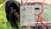 ЗВАНИЧНО УПОЗОРЕЊЕ - ИСТИНА ЈЕ: Чувајте себе и ближње од пантера - огласили се из Војводина шума (ФОТО)