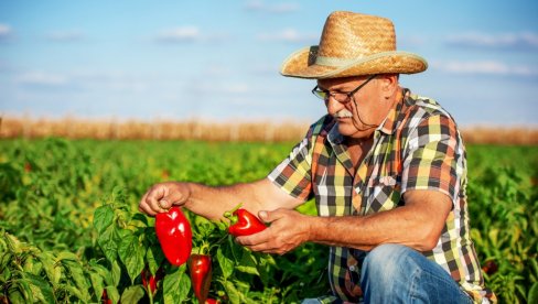 VIŠE OD 100 MILIJARDI DINARA ZA POLJOPRIVREDNIKE: Isplaćeno 96 odsto subvencija