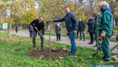 OBNAVLJANJE SEDAMDESETOGODIŠNJEG KARAĐORĐEVOG PARKA: Počela akcija u Zrenjaninu (FOTO)