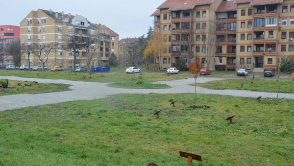 ПОСАЂЕНЕ И НОВЕ САДНИЦЕ: Комуналци настављају са уређењем будућег градског парка у Сомбору