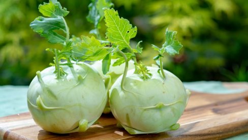 MALO KALORIJA, A OBILJE VITAMINA: Lek iz prirode - Keleraba za dobar imunitet, štiti od raka prostate i debelog creva MALO KALORIJA, A OBILJE VITAMINA: Lek iz prirode - Keleraba za dobar imunitet, štiti od raka prostate i debelog creva