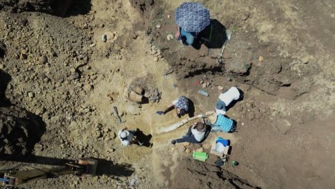 СКРИВЕН МИЛИОНИМА ГОДИНА: Бразилске кише разоткриле један од најстаријих фосила диносауруса на свету